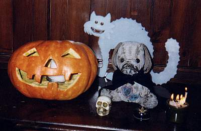 Halloween Cux