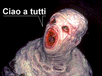 Ciao dal vermone