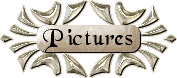 photographs