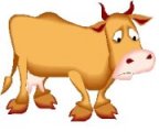 Brown Cow