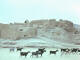 Village in Sahara