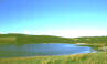 Moor