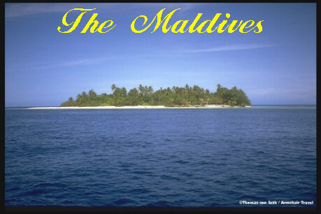The Maldives, an island