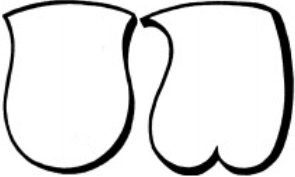 curvaceous shield styles dating to AD 1400