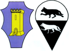the Italian horse face armour shield and teardrop shield