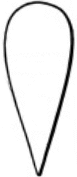 a Norman shield