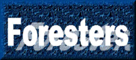 Foresters 