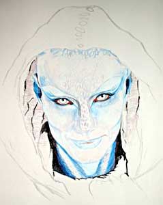 Zhann in progress
