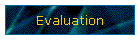 Evaluation