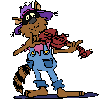 Raccoon-Fiddle
