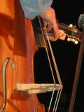 Josh & The Galvanized Bass