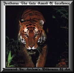 excellence award