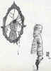 asafkocakcizim9.jpg (59412 bytes)
