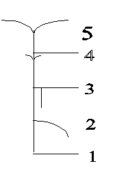 Undisplayed Graphic