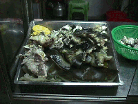 Picture of Turtle Meat