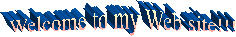Welcome to my Web site!!!