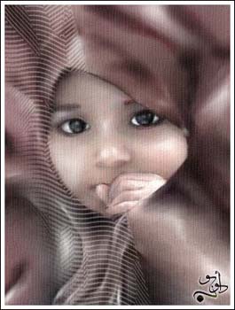 zynb_F