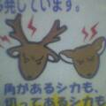 Sheesh, even the warnings are cute.