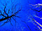 nature009.jpg