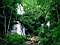 nature010.jpg