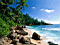nature014.jpg