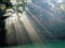 nature015.jpg