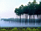 nature020.jpg