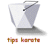 tips karate