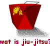 wat is jiu-jitsu?