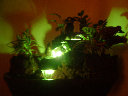 crownandanchor1001004.jpg
