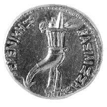 Berenice II octodrachm reverse