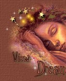 view my dream notes