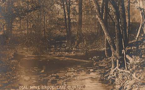 Coal Mine Brook