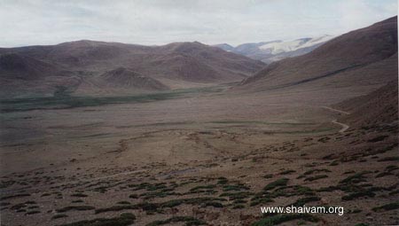 The dessert like terrain