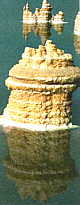 salt 'mushrooms' growing in the Dead Sea