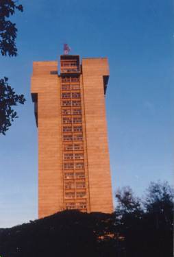 The Snorkle Building!