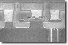 npn.jpg (7568 bytes)