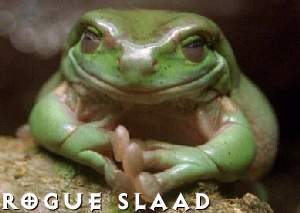 Rogue Slaad