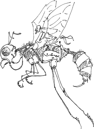 Bytopian Wasp