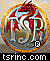 [TSRinc.com]