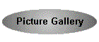 Picture Gallery