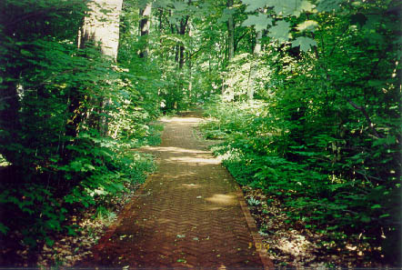 pic21.jpg (62842 bytes)