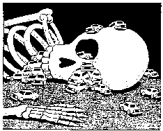 skullcars.gif