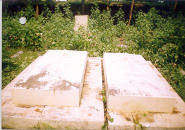 mngcem4.jpg (30546 bytes)