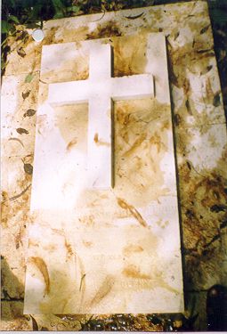 mngcem5.jpg (25061 bytes)