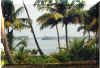 a view of the lake from Chavara Church