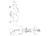 Click for Belekou vv