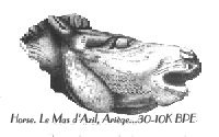 Horse. Le Mas d'Azil, Arige. circa 30-10K
BPE