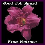 Maureen's Good Job Award