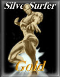 ShadowRun Silver Surfer Gold Award